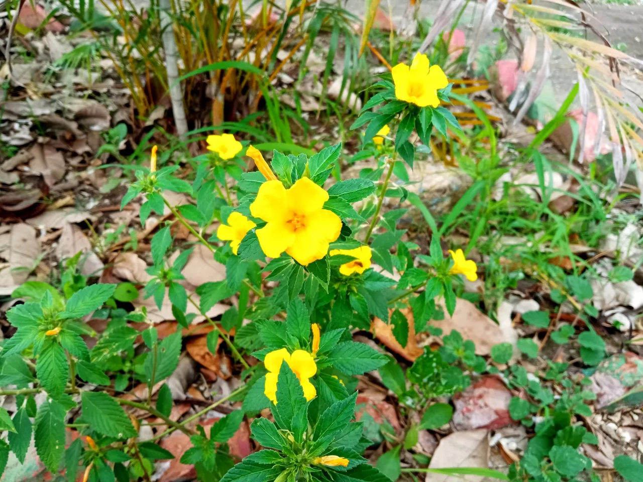 IMG_20250519_103319.jpg