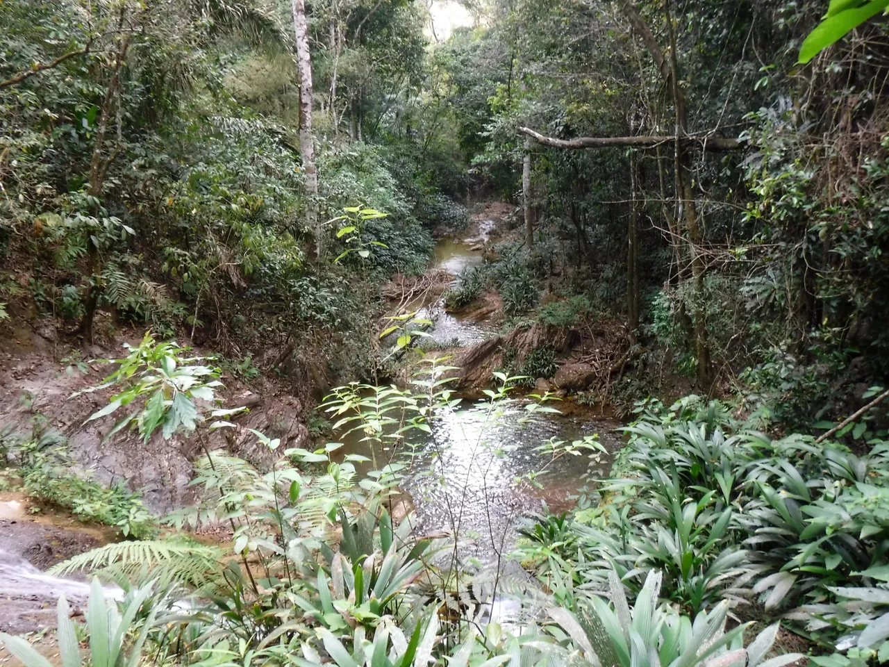 DSCF7900.JPG