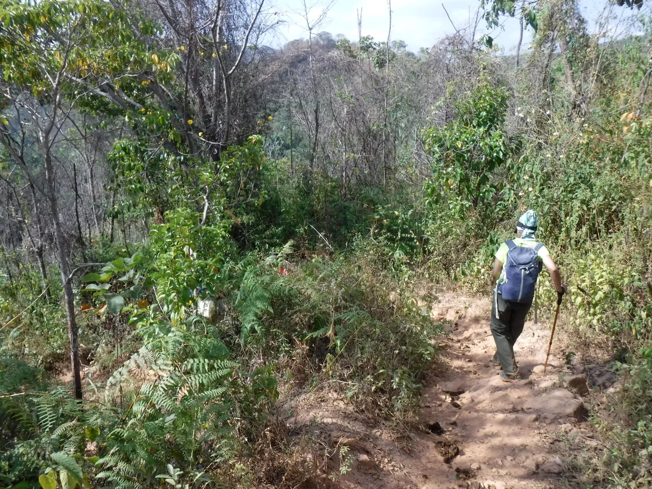DSCF7870.JPG