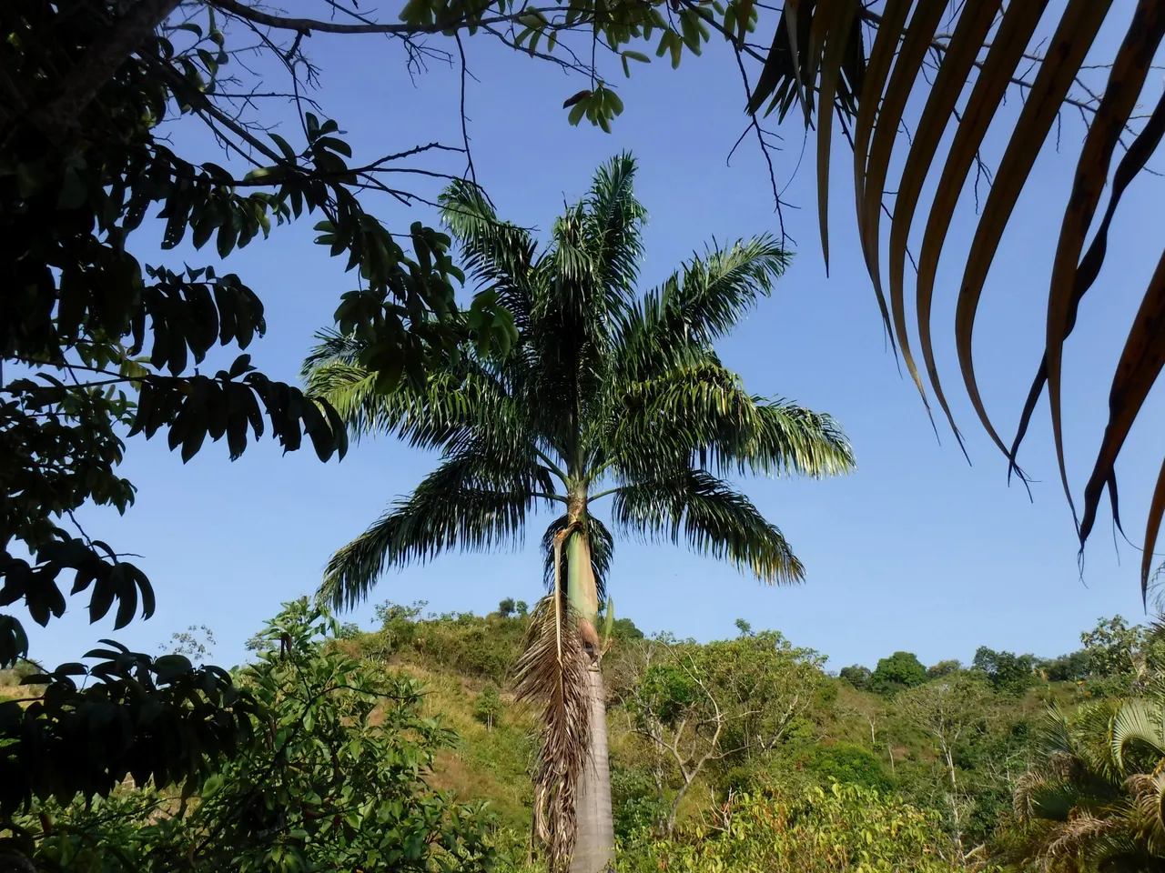 DSCF7836.JPG