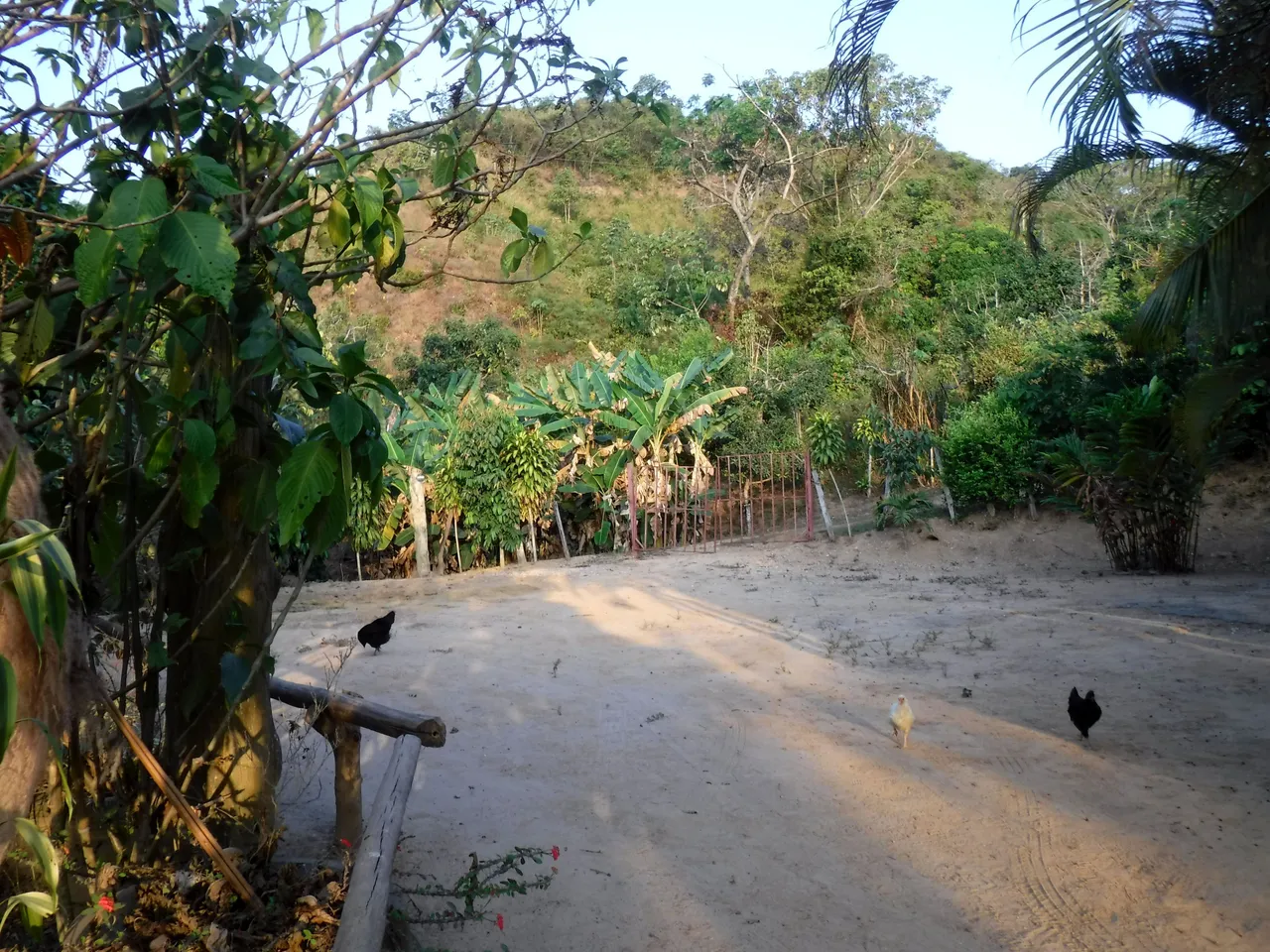 DSCF7825.JPG