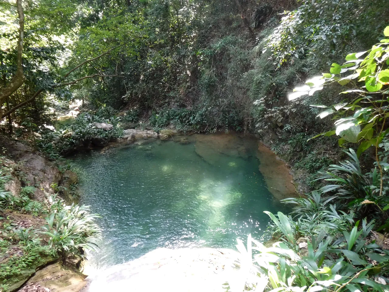 DSCF7909.JPG
