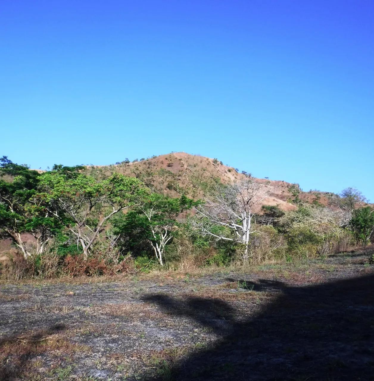 DSCF4776.jpg