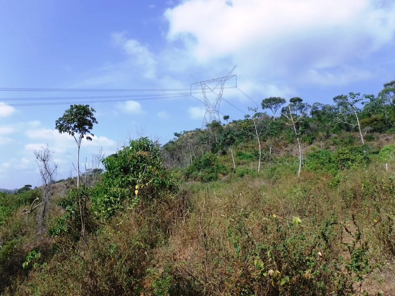 DSCF7861.JPG