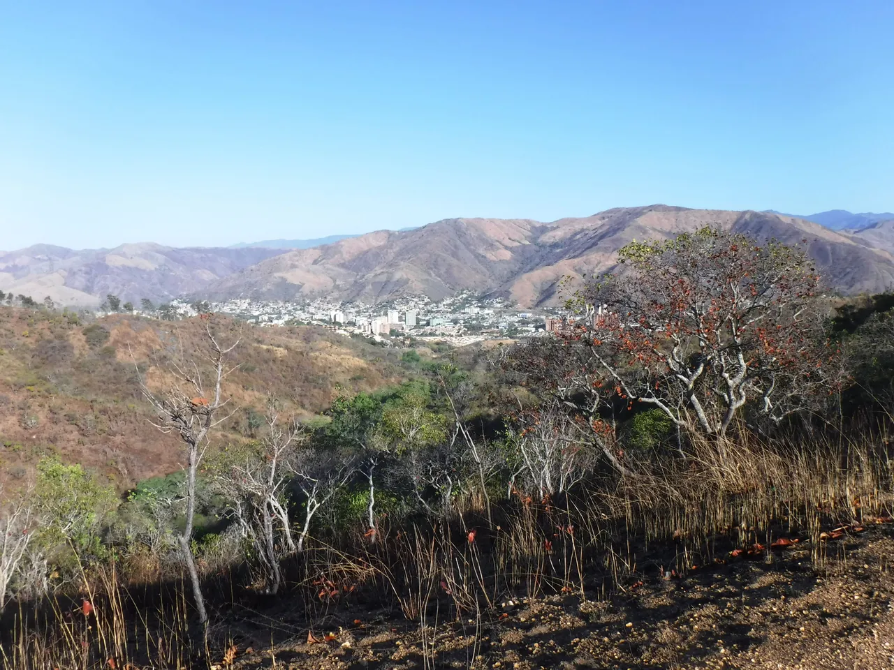 DSCF4792.JPG