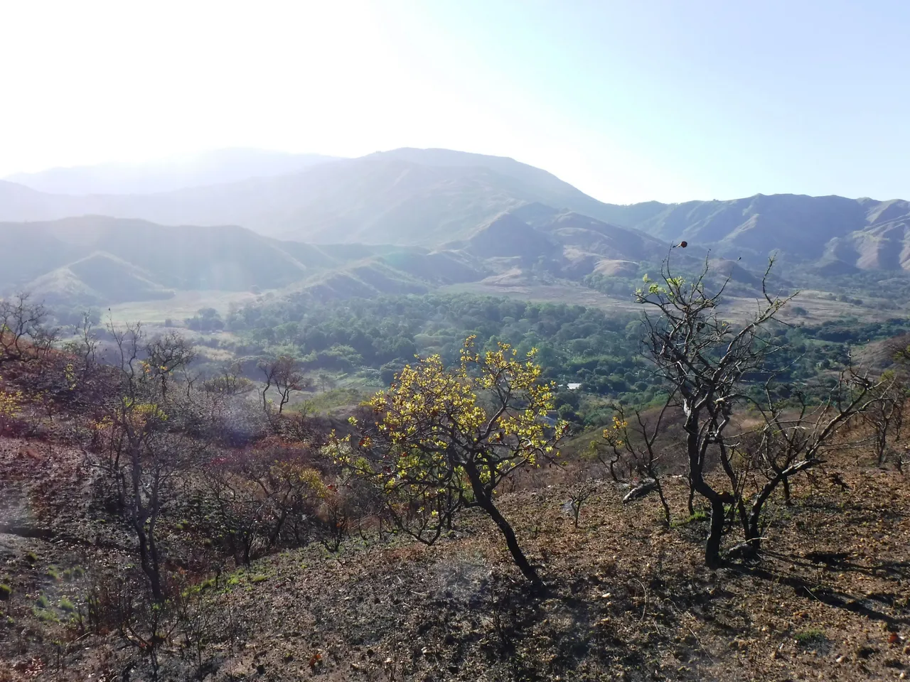 DSCF4791.JPG