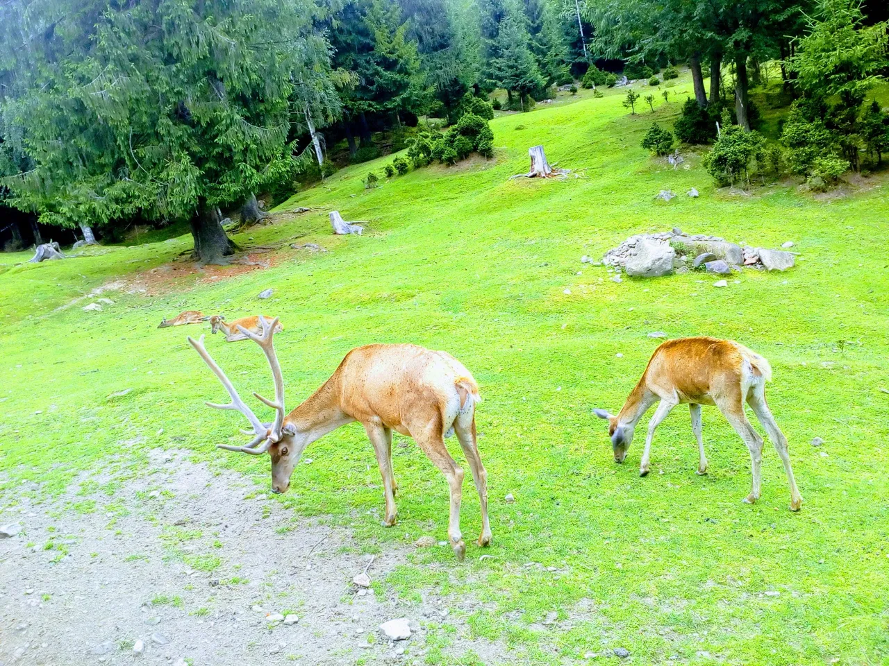 IMG_20170712_122800-EFFECTS.jpg