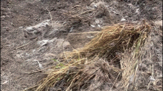 D565F8B0-A753-4DA5-A159-50589C655D31.gif