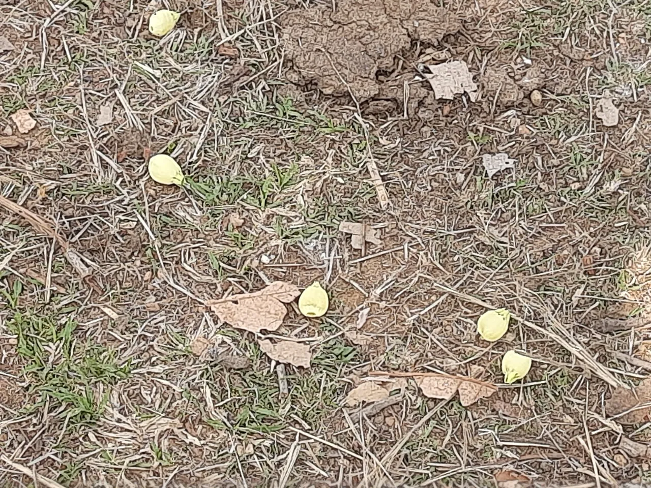 20230329_091309.jpg