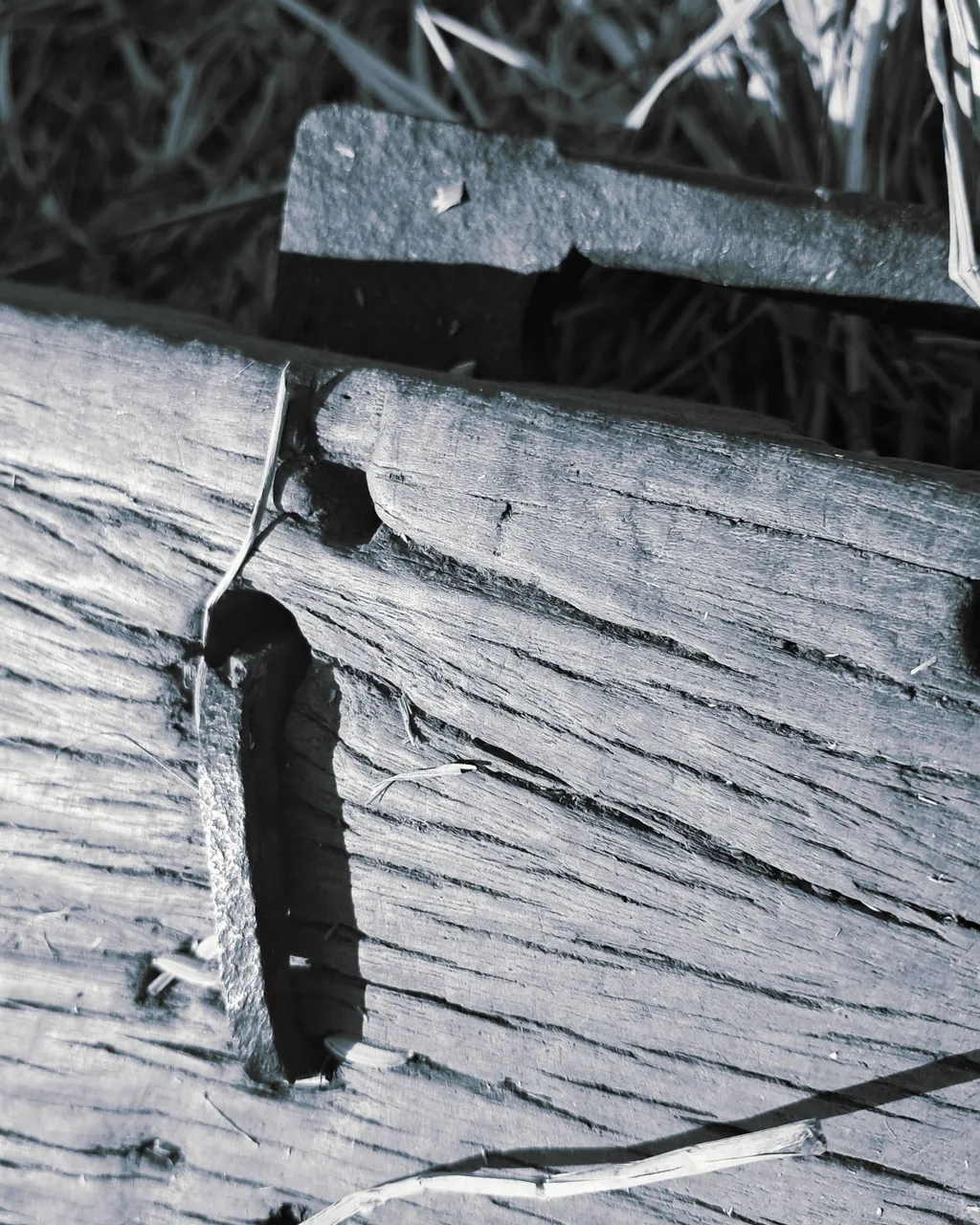 20241212_110055.jpg