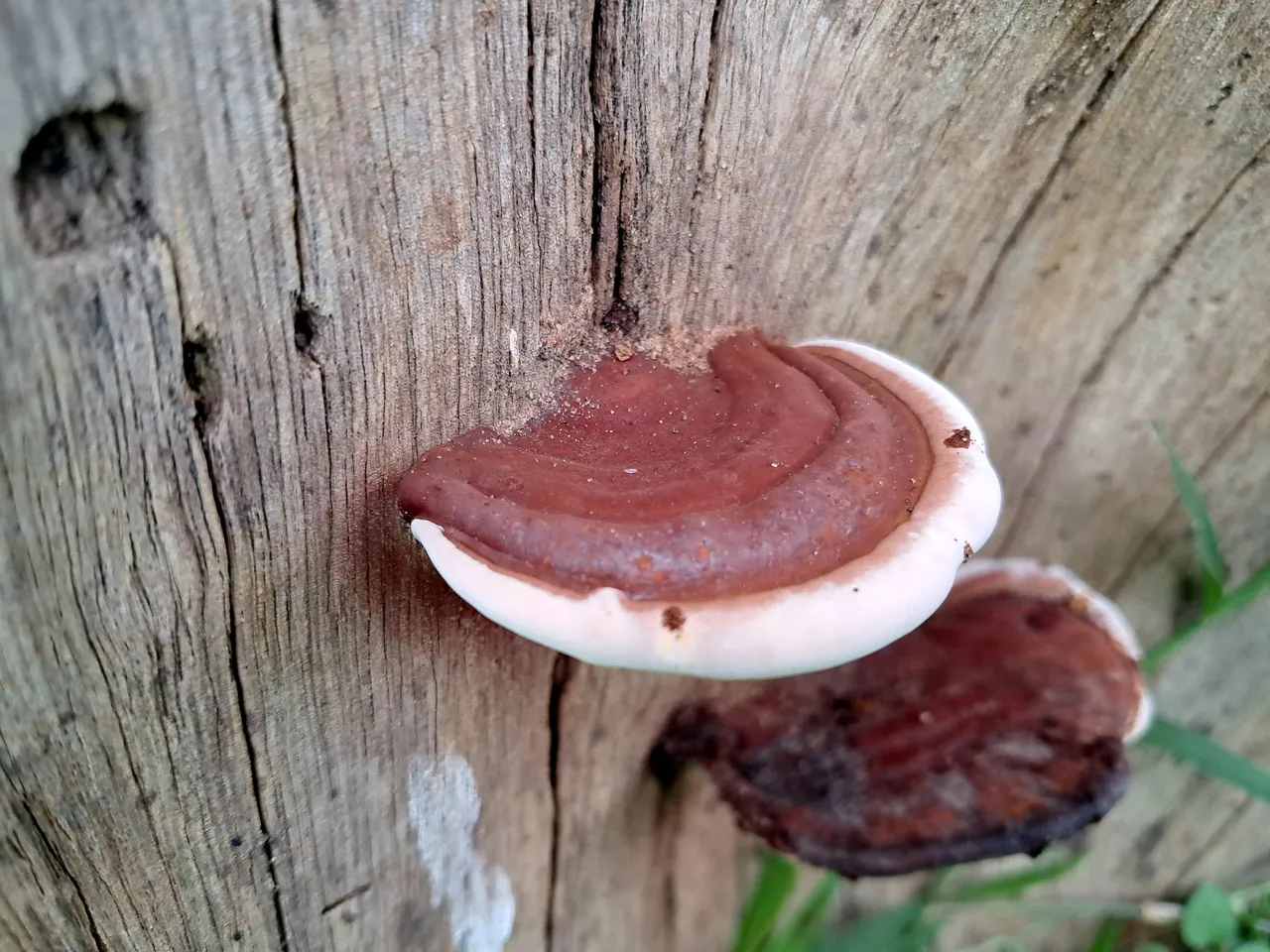 20250727_142219.jpg