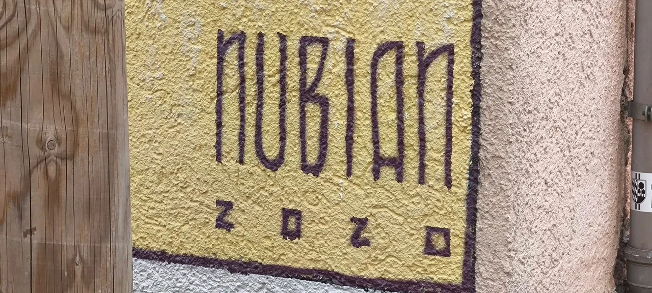 515721167_24108614915439682_1336384152705004693_n.jpg