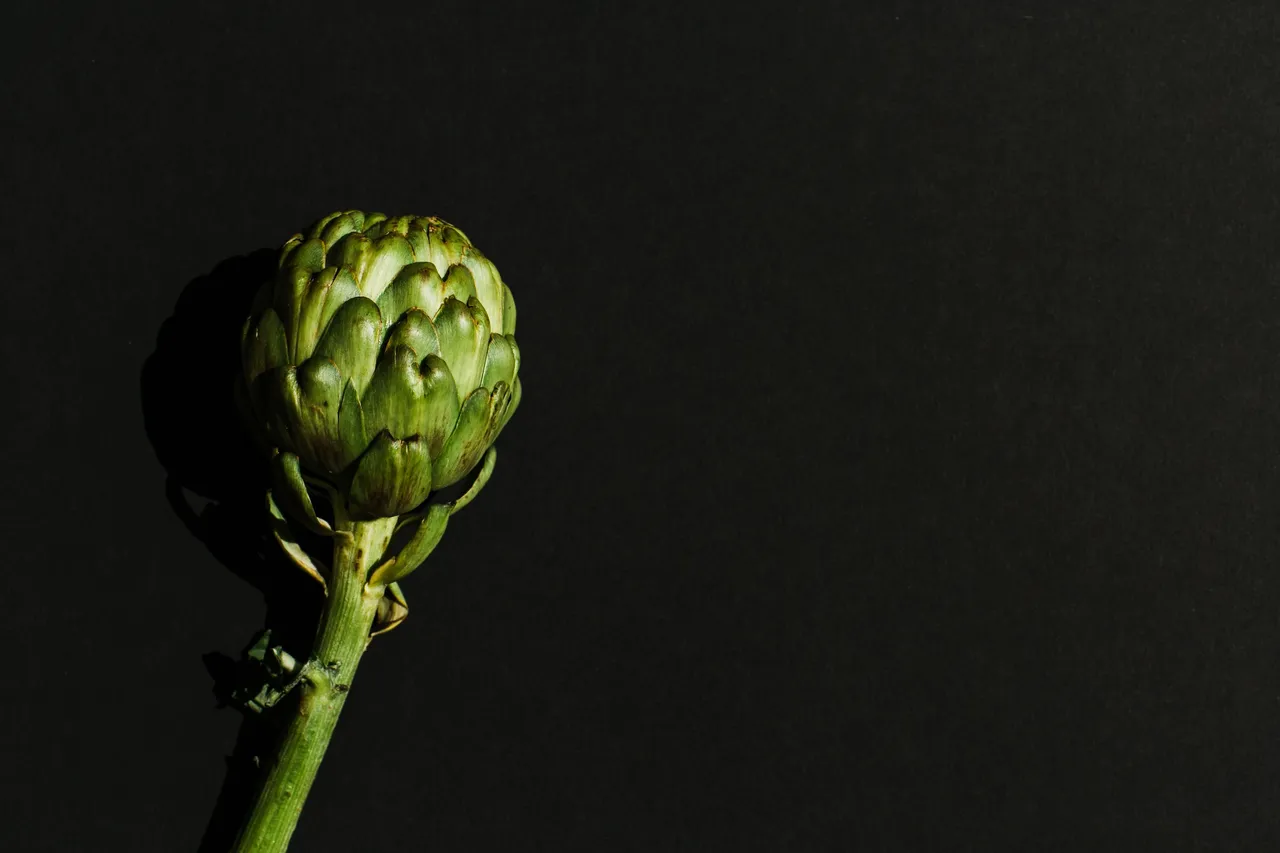 HBfruitvege_034.jpg