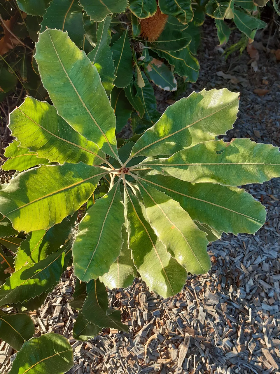 20220317_063852.jpg