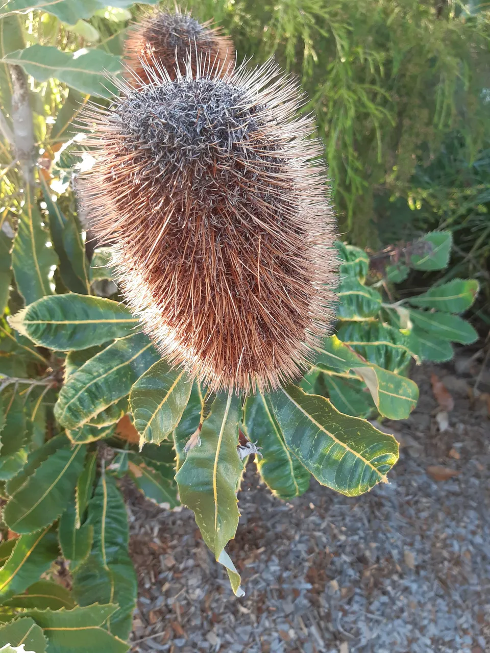 20220317_063838.jpg