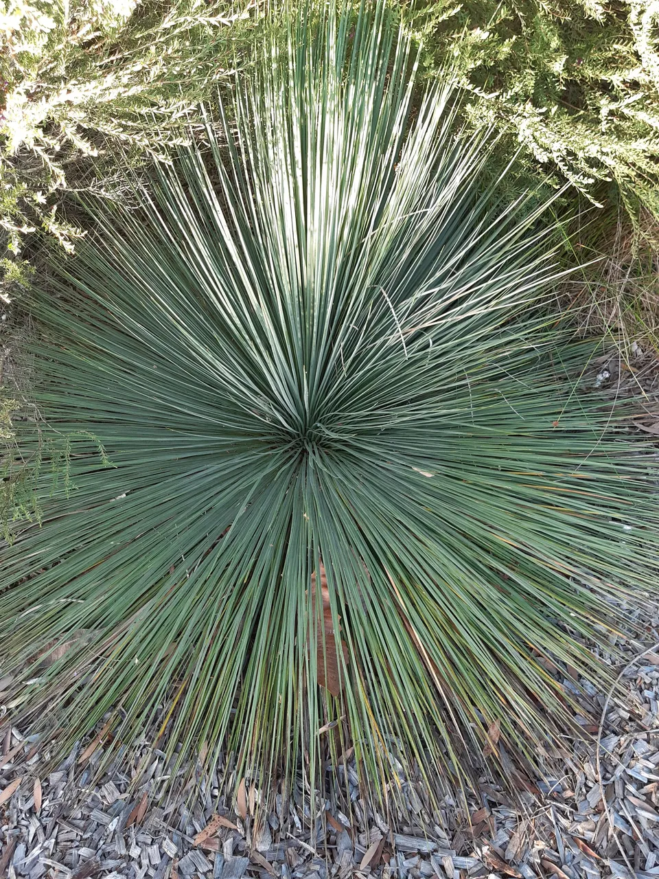 20220317_063947.jpg