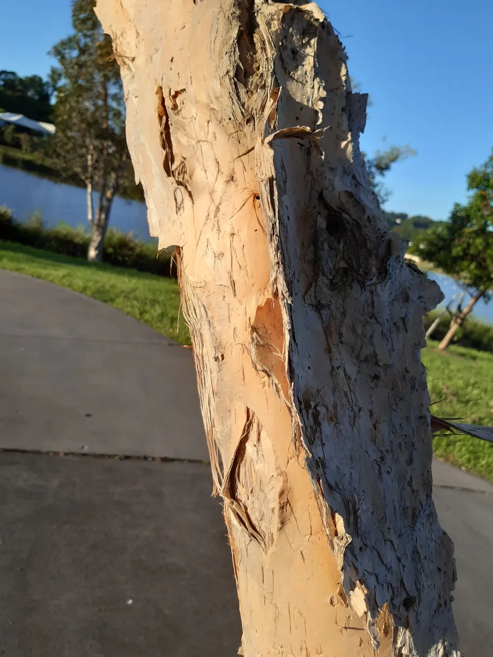 20220317_064043.jpg