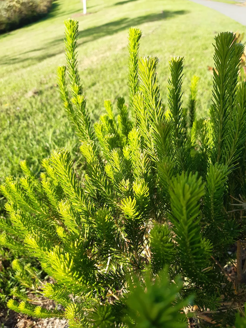 20220317_064928.jpg