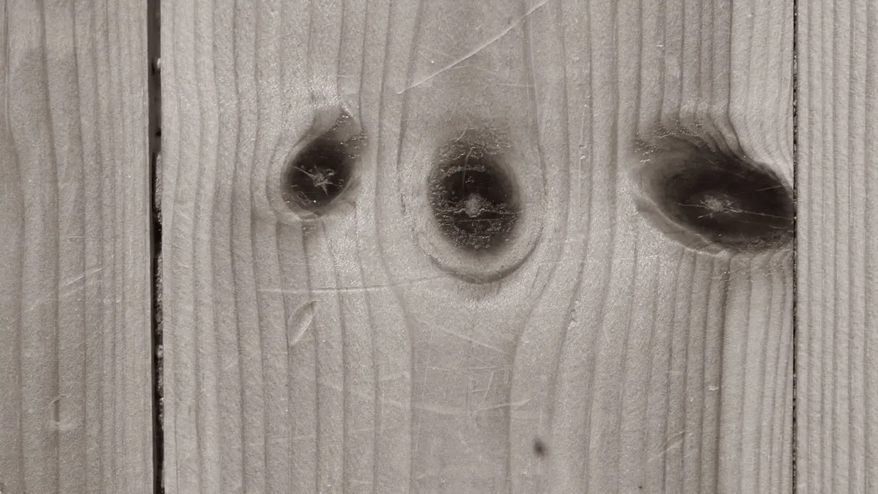 OI001289.jpg