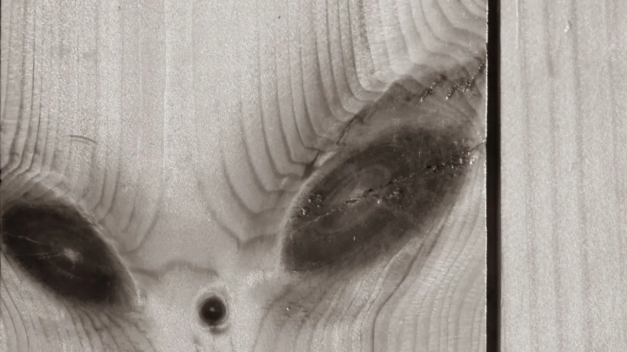 OI001291.jpg