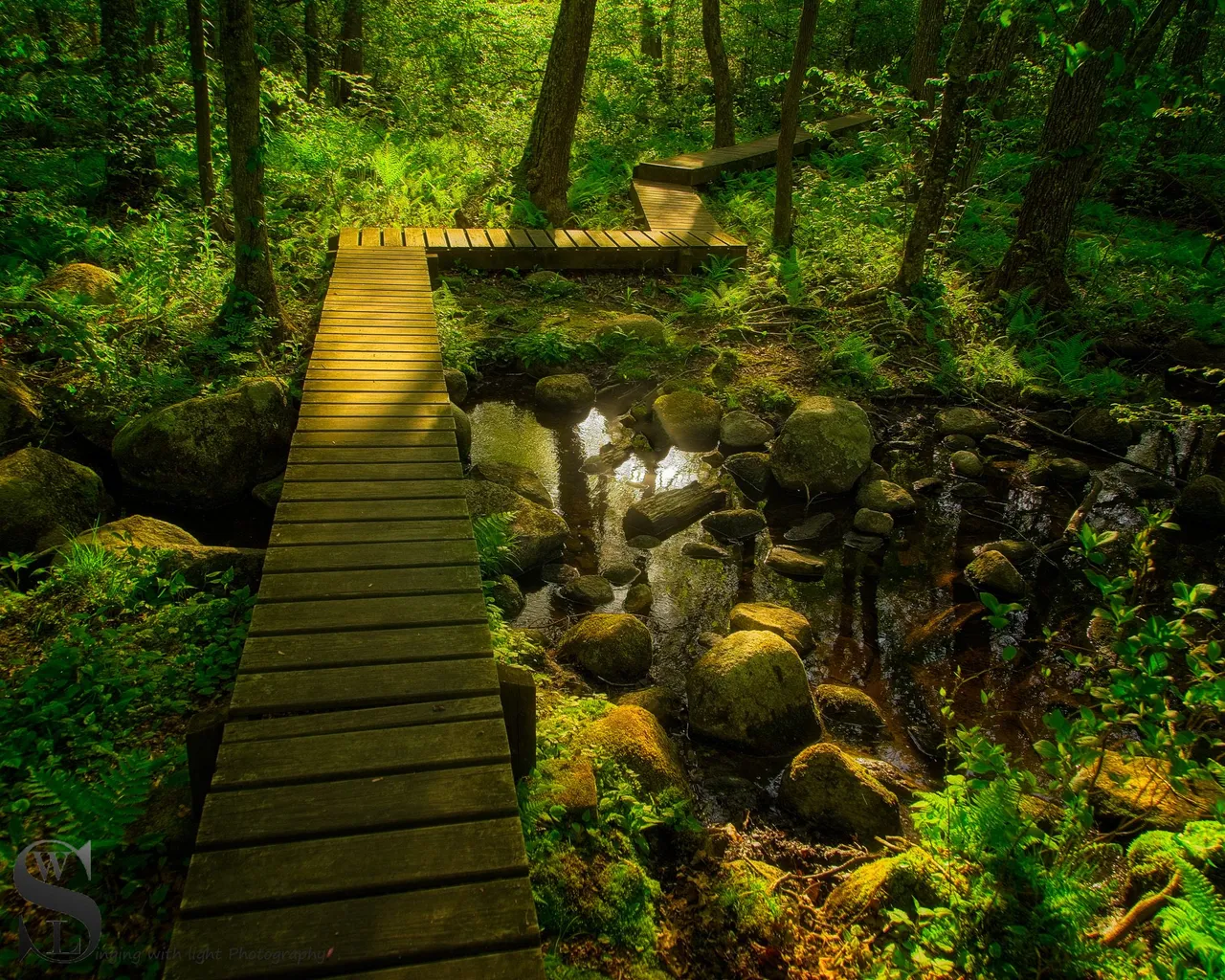 ww Knowles reserve-1.jpg