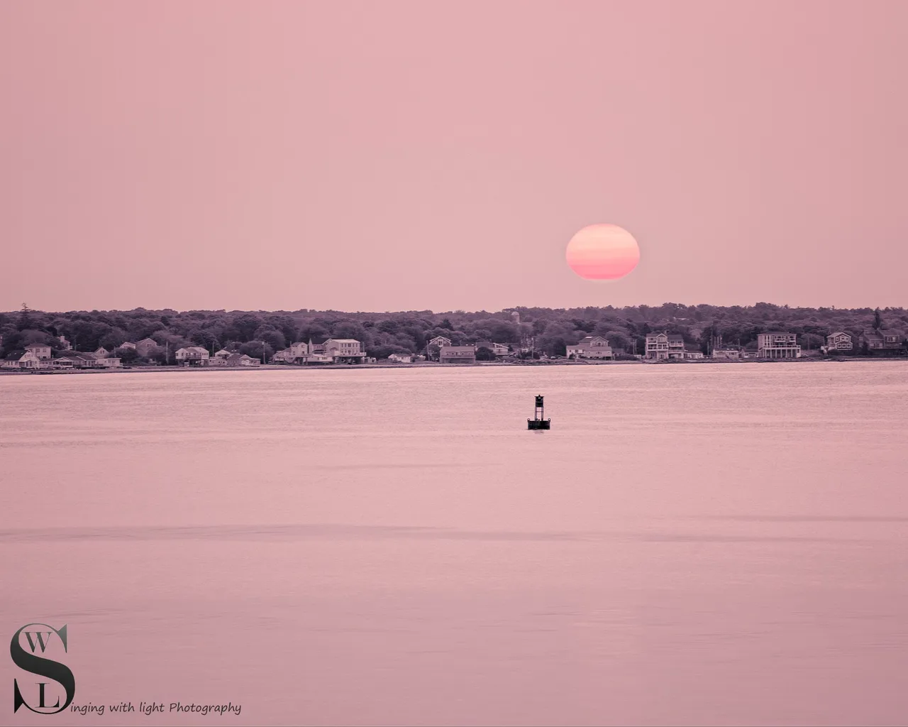 mono and a splash of color-2.jpg