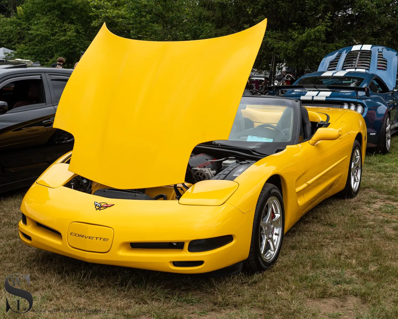 car show hoods up-8.jpg