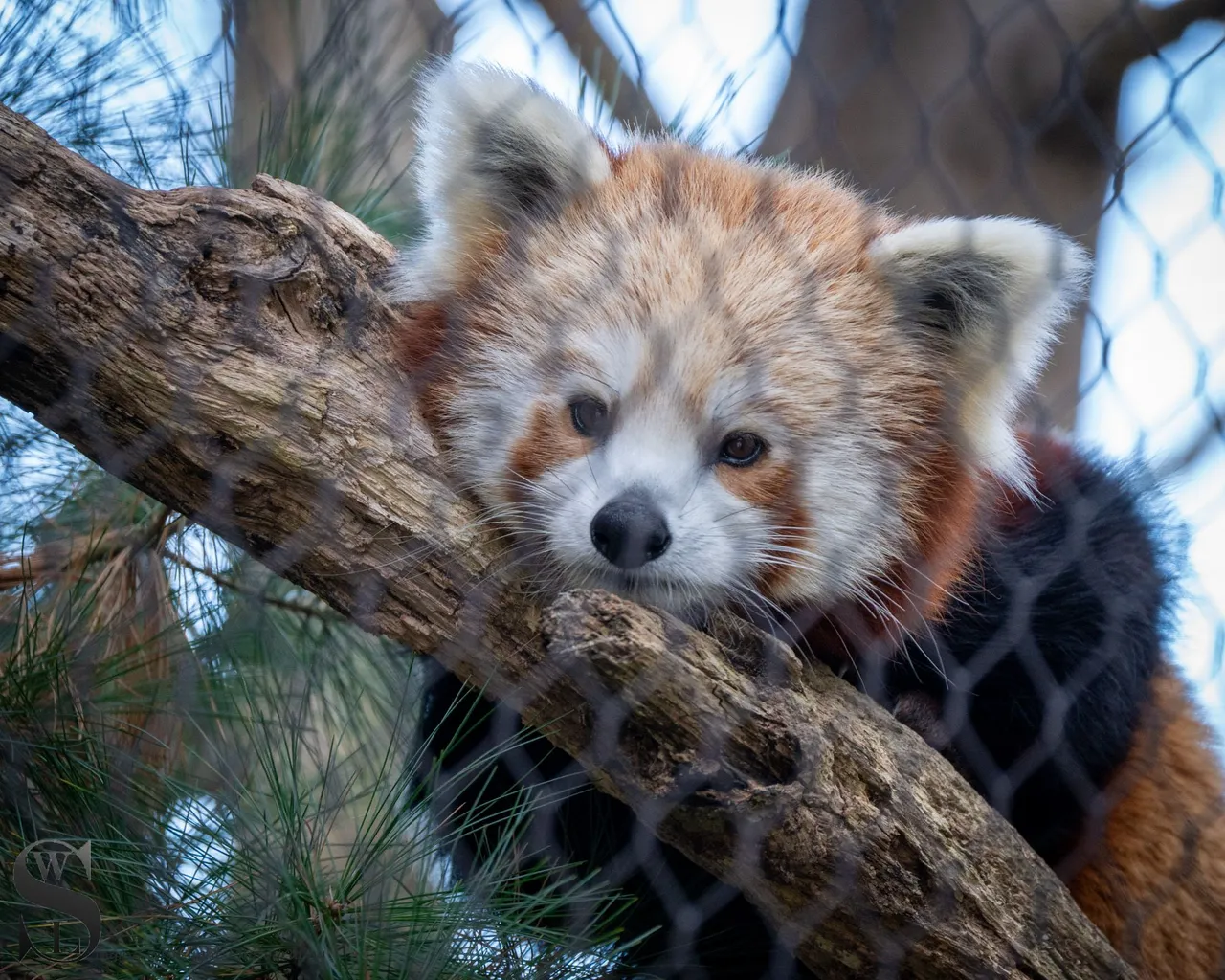 at the zoo-4.jpg