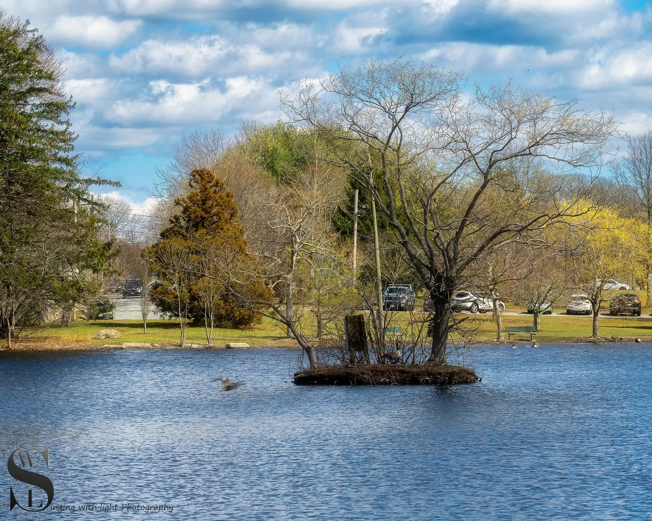 ww by the pond.jpg