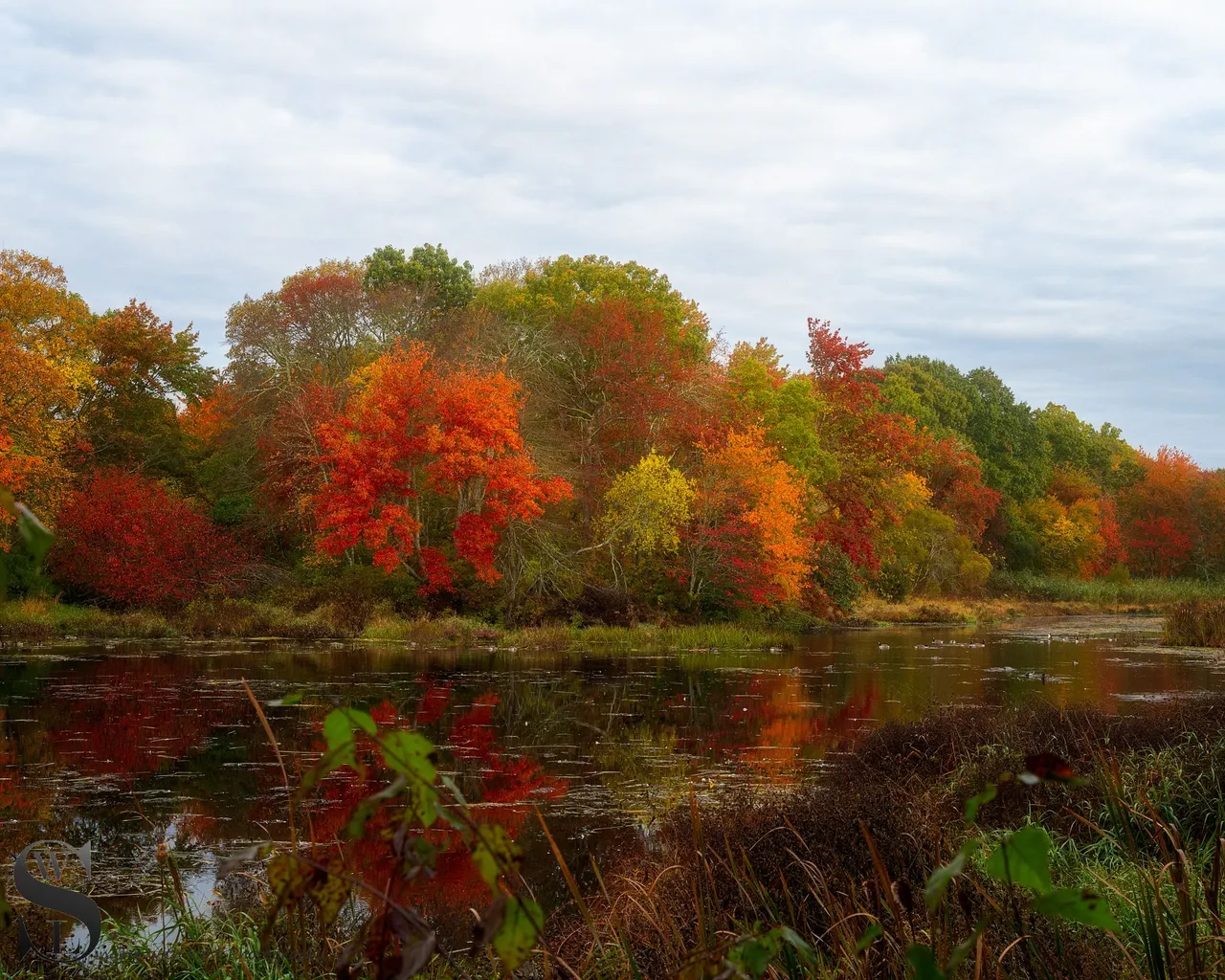 fall colors sawmill-5.jpg