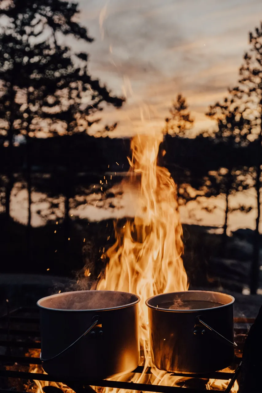 pexels-alena-beliaeva-9301681.jpg