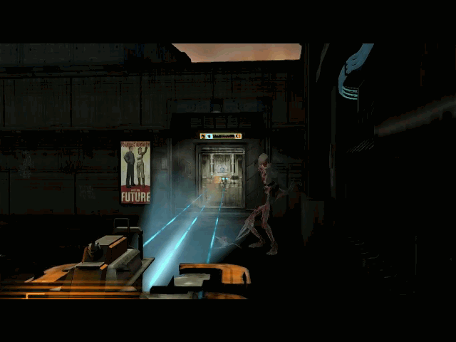 5.gif