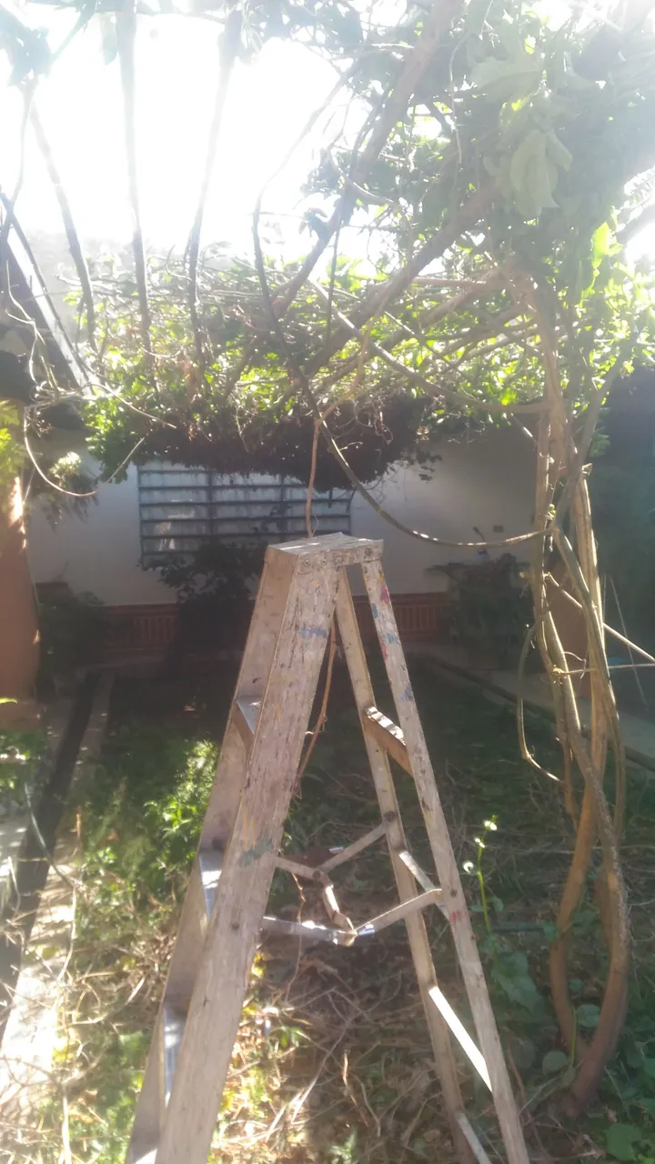 IMG-20220131-WA0007.jpeg