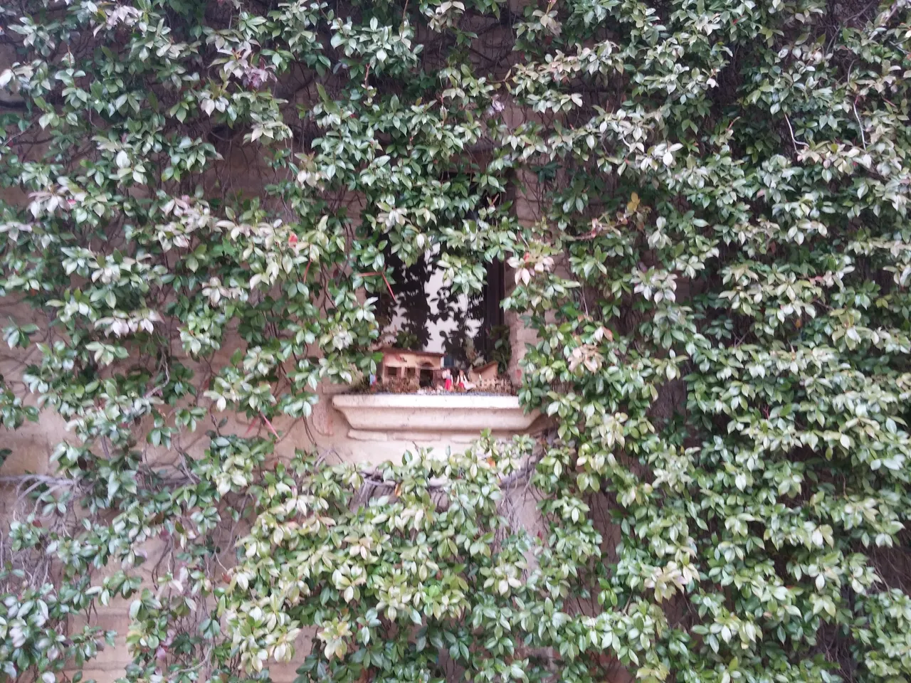 20170102_125052.jpg