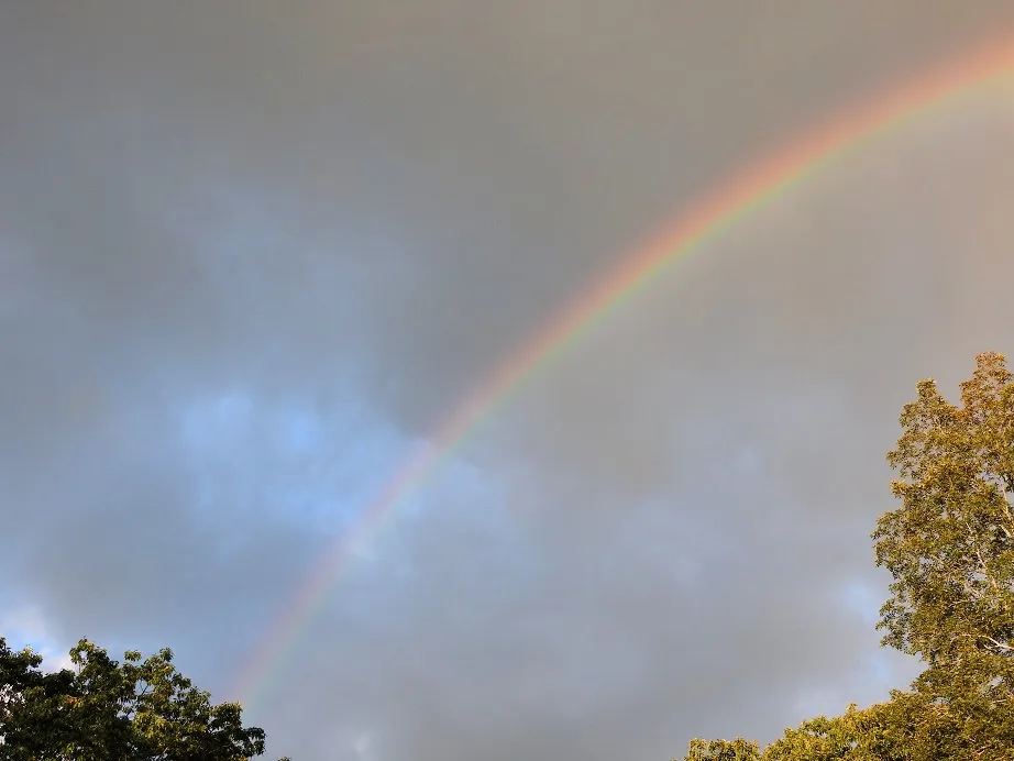 4. Double Rainbow.jpg