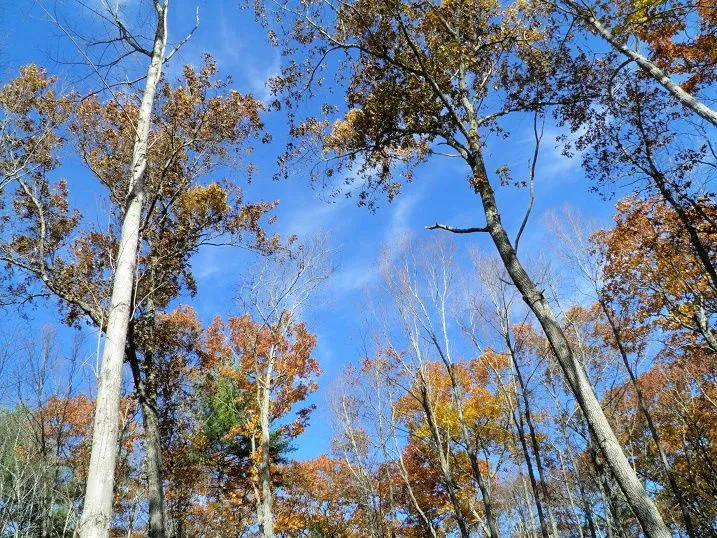 5. November 12 2015 PB020043.jpg
