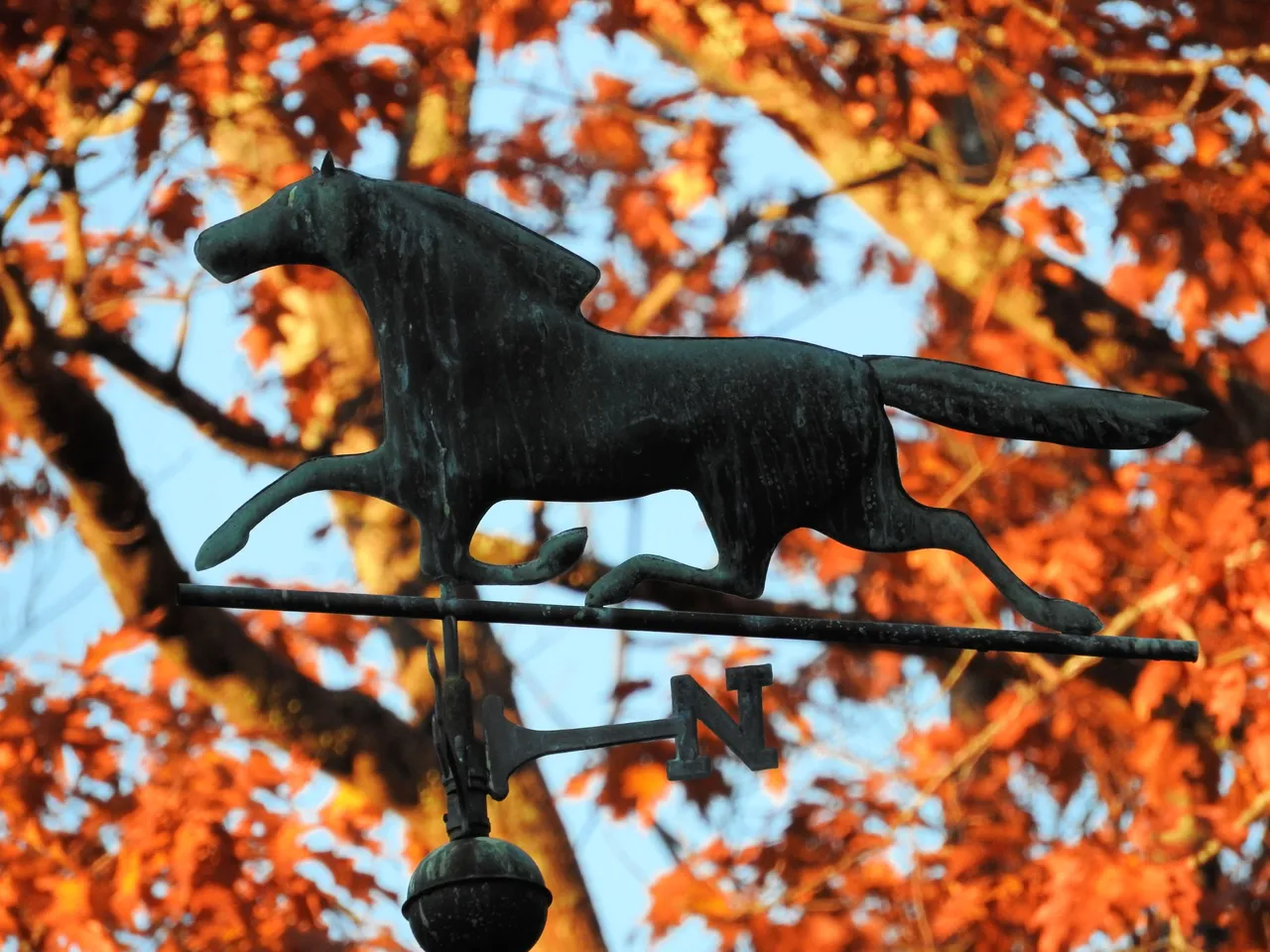 4. The Autumn Gloaming.jpg