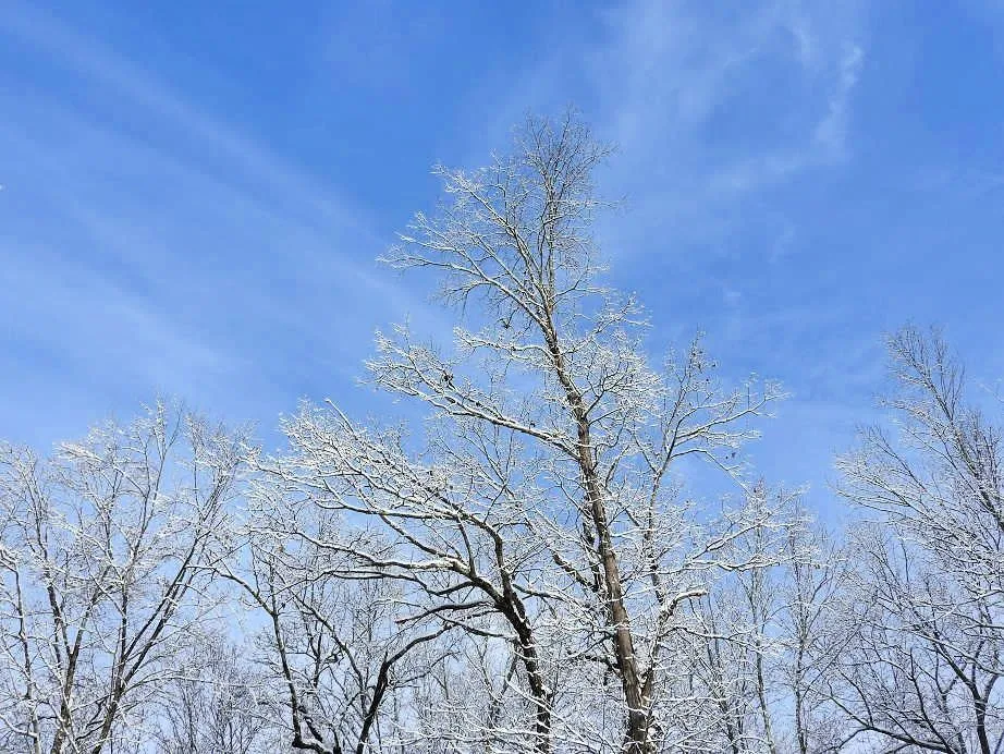 1. Sublime Sunday Snow.jpg