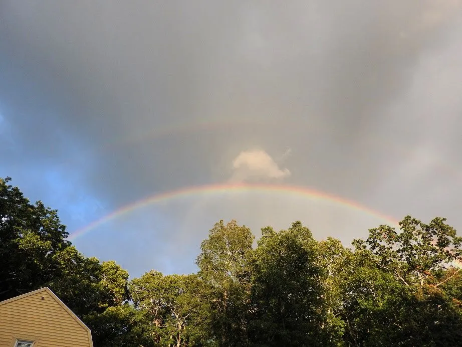 3. Double Rainbow.jpg