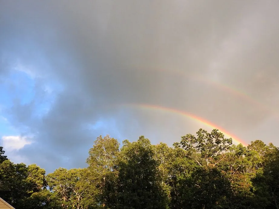 12. Double Rainbow.jpg