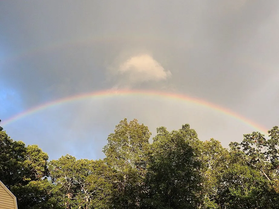 1. Double Rainbow.jpg