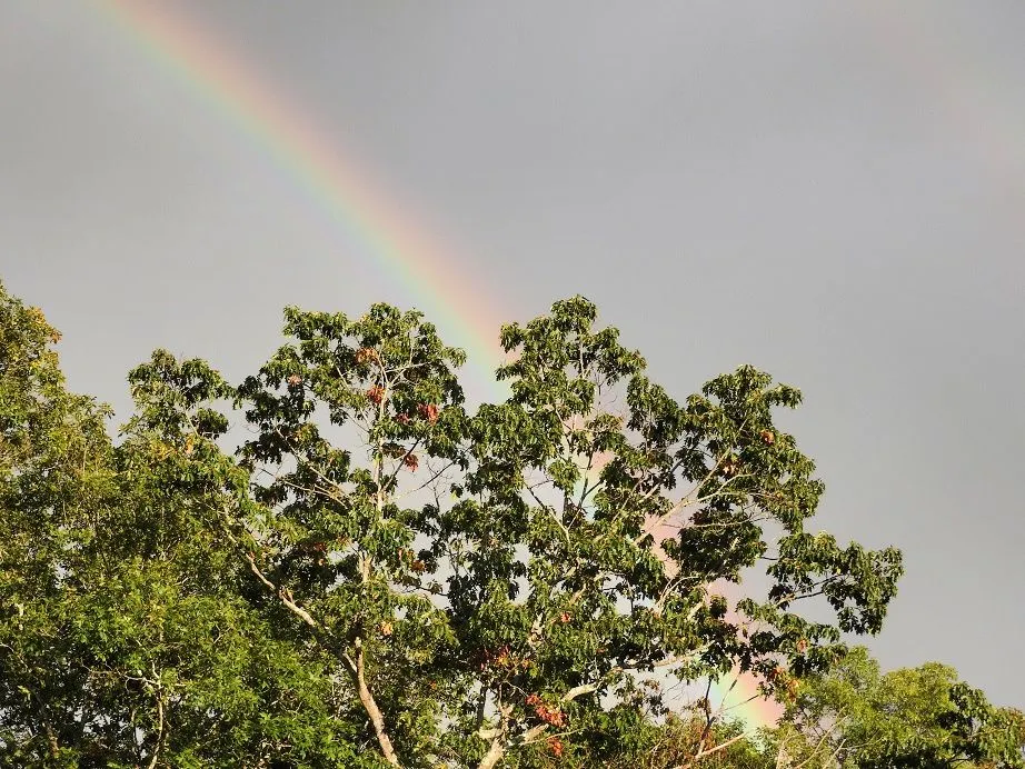 2. Double Rainbow.jpg