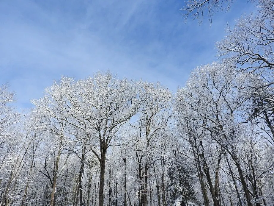 9. Sublime Sunday Snow.jpg