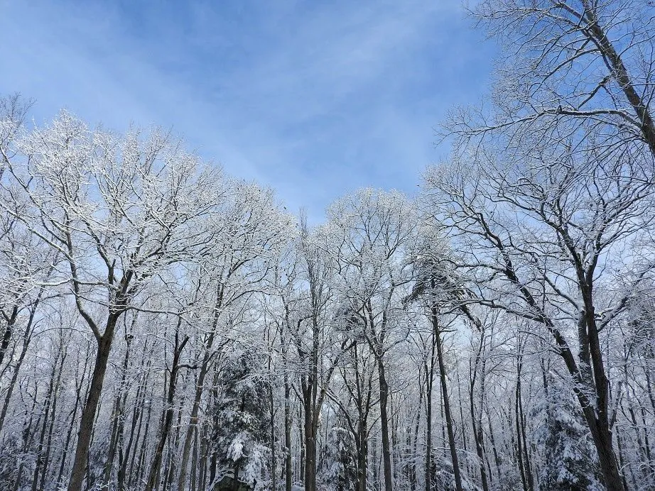 8. Sublime Sunday Snow.jpg