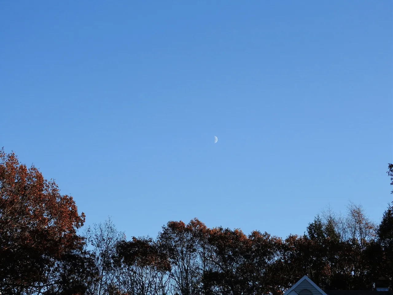 1. The Autumn Gloaming.jpg