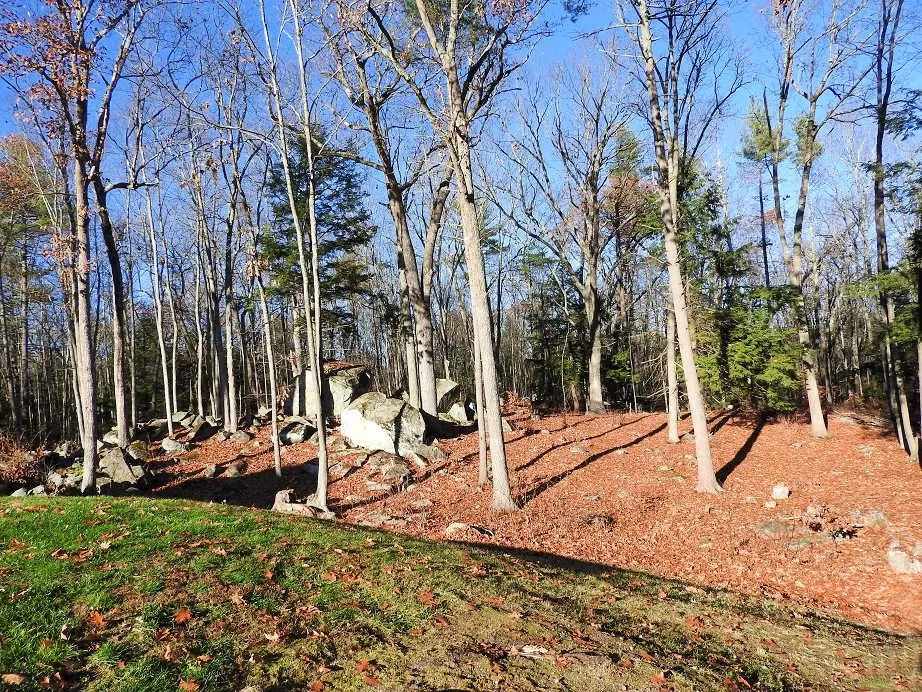 8. November 18 2016 Where I hurt my knee and the hill.jpg