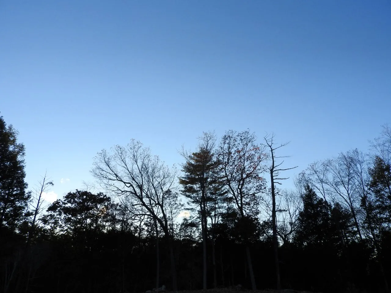 3. The gloaming..jpg