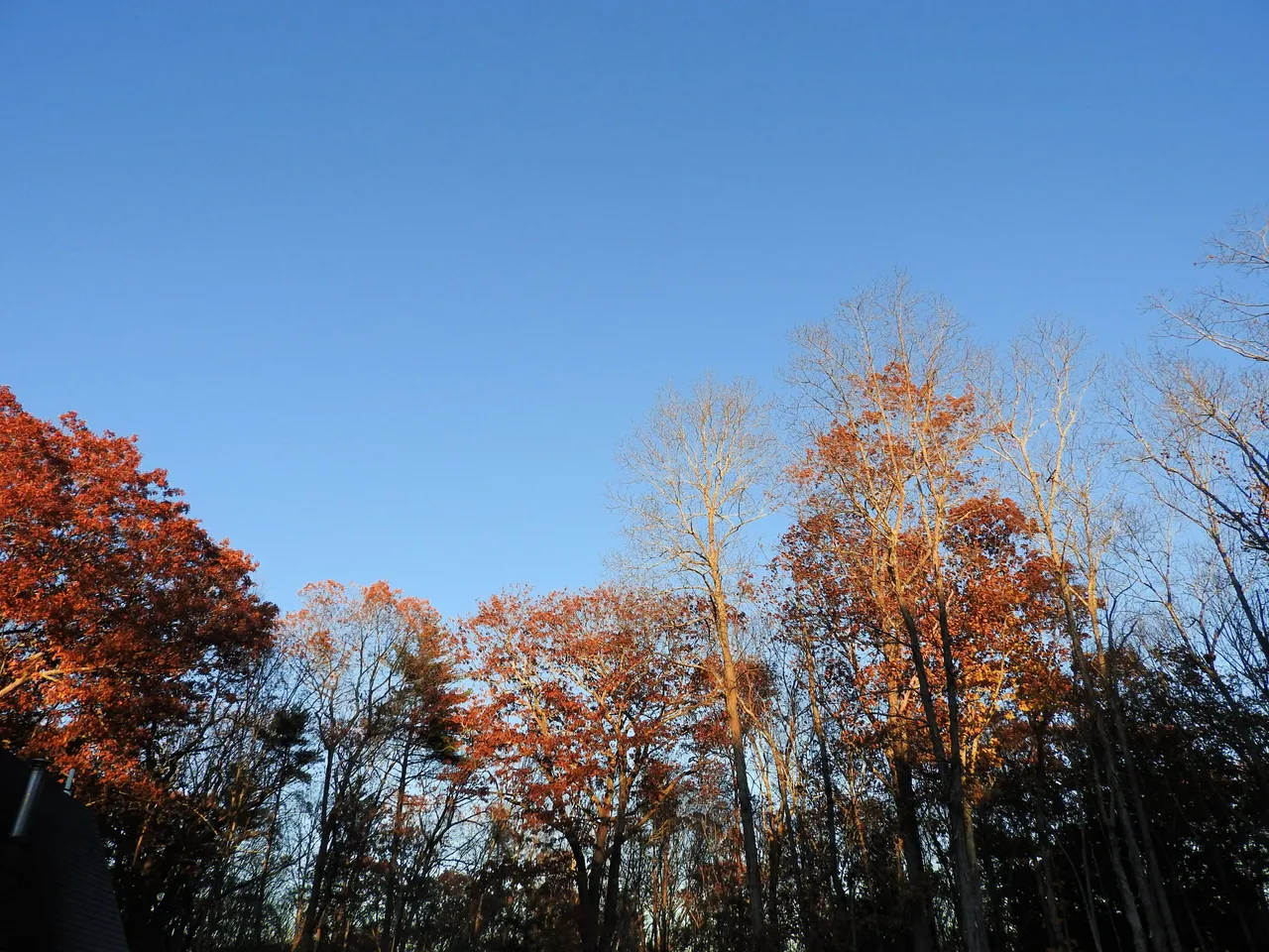 5. The Autumn Gloaming.jpg