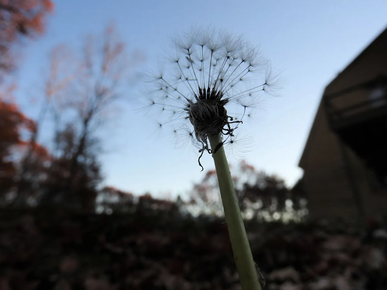 12. The Autumn Gloaming.jpg