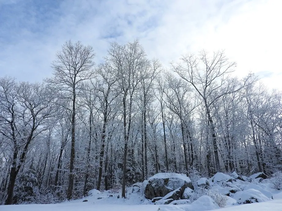 3. Sublime Sunday Snow.jpg